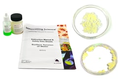 Innovating Science™ Surface Tension of Water Kit